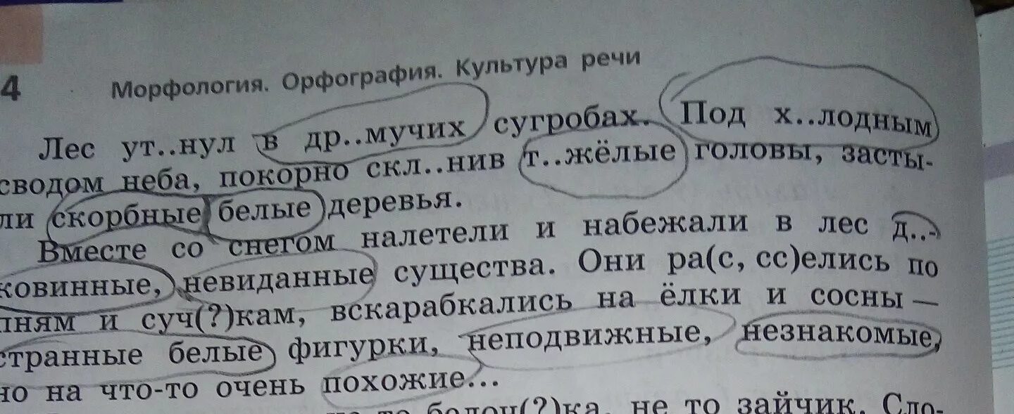 Морфологический разбор прилагательного качественное относительное притяжательное. Пост.пр прилагательных. пост пр прилагательного 6 класс. разбор морфологический разбор выделенных. прилагательное пост пр.