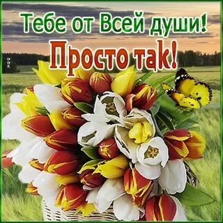 Я занесу букет к тебе