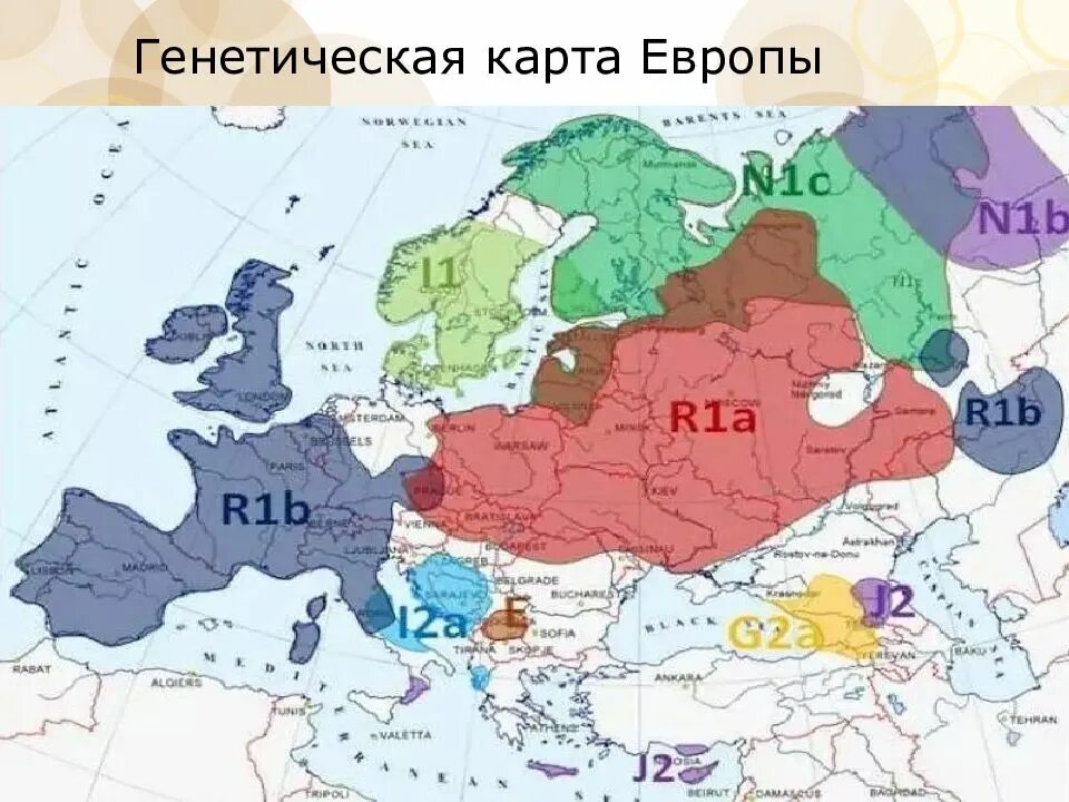 Расы западной европы. R1a1 генетика славян. днк генеалогия r1a. гаплогруппы европы карта.