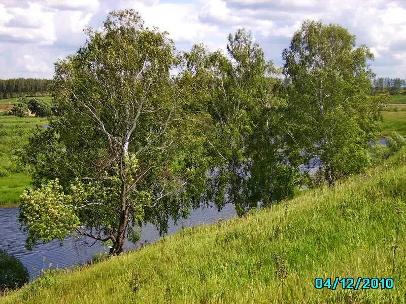 Участок земли тульская область. Земля в тульской области. участка тульская область веневский район.