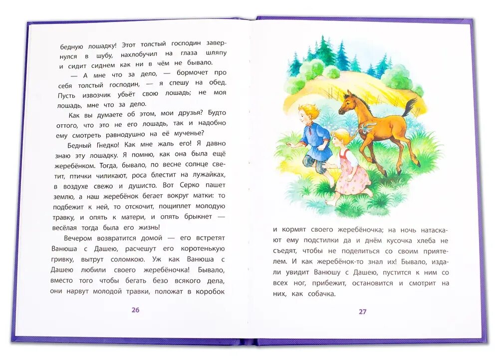 Сказка Одоевского бедный Гнедко. Серебряный рубль Одоевский в. ф. книга. Серебряный рубль Одоевский книга. Одоевский серебряный рубль читать