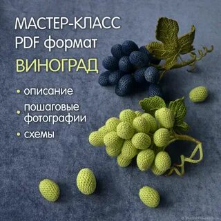 Виноград класс