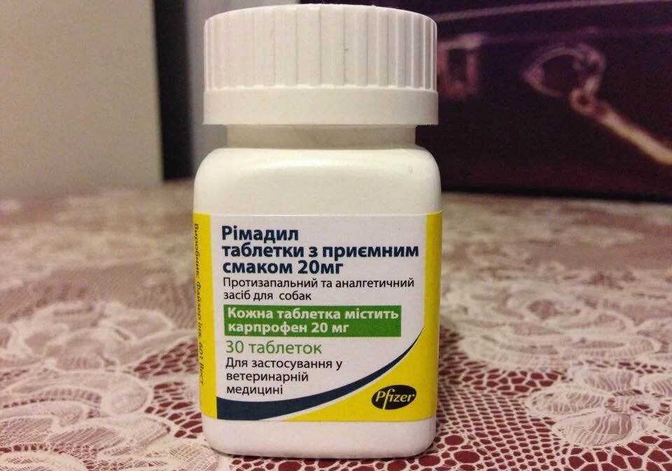 Чем можно обезболить собаку. Римадил 20мг дозировки. Обезболивающее для собак Римадил. Таблетки для собак для суставов обезболивающие.