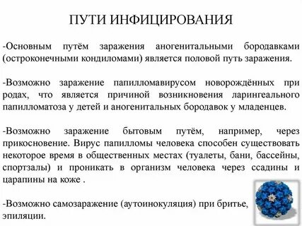 Аногенитальные бородавки по утвержденным клиническим рекомендациям тест