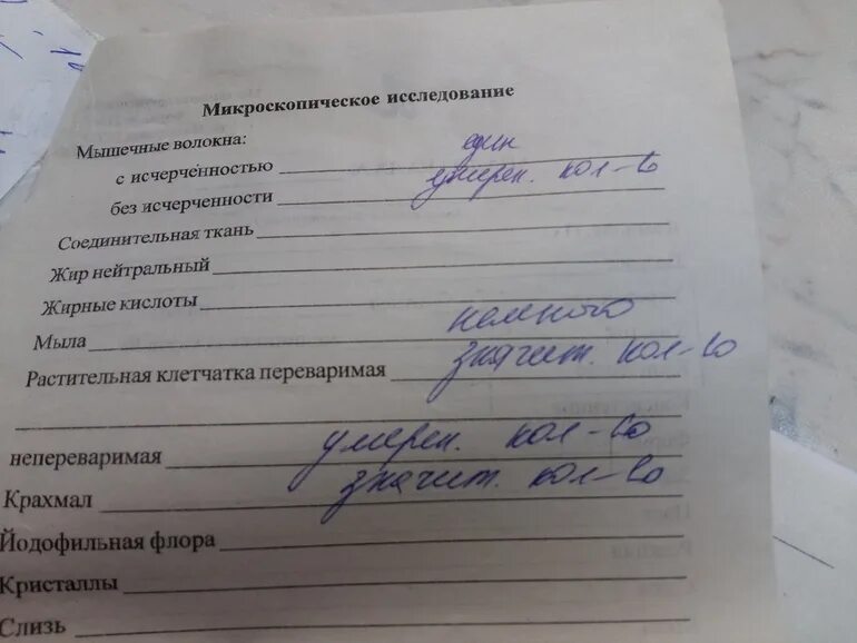 Направление на бронхоскопию. Направление к гастроэнтерологу. Направление на ректороманоскопию. Направление к проктологу