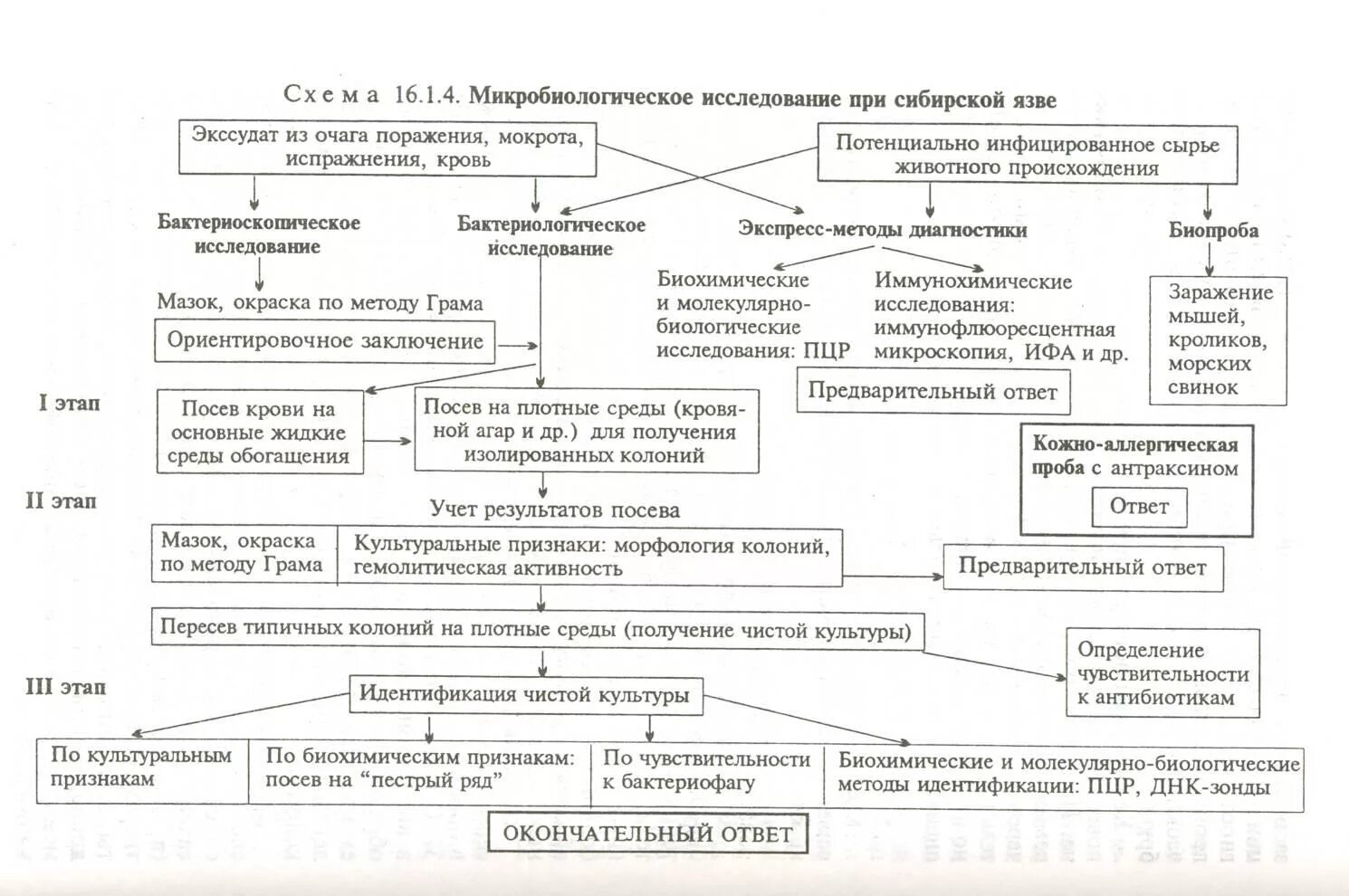 Чума анализы