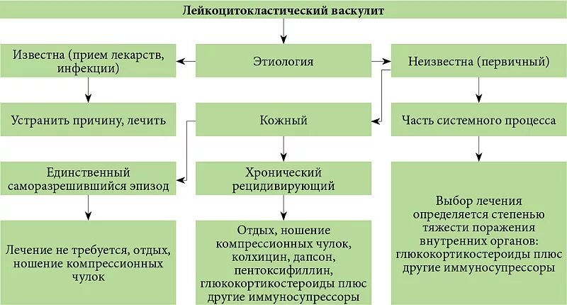 Лейкоцитокластический васкулит. Кожный лейкоцитокластический ангиит. Лейкоцитокластический васкулит симптомы. Лейкоцитокластический васкулит лечение. Васкулит лечение таблетки