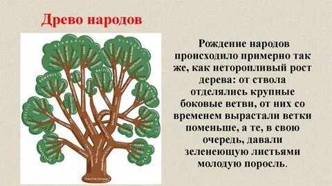 Теория суха а древо жизни зеленеет