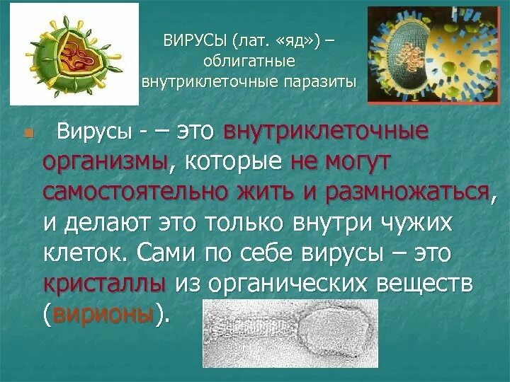 Почему вирусы выпадают из общего ряда. Вирус. Вирусы биология. Вирусы презентация. Вирусы определение.