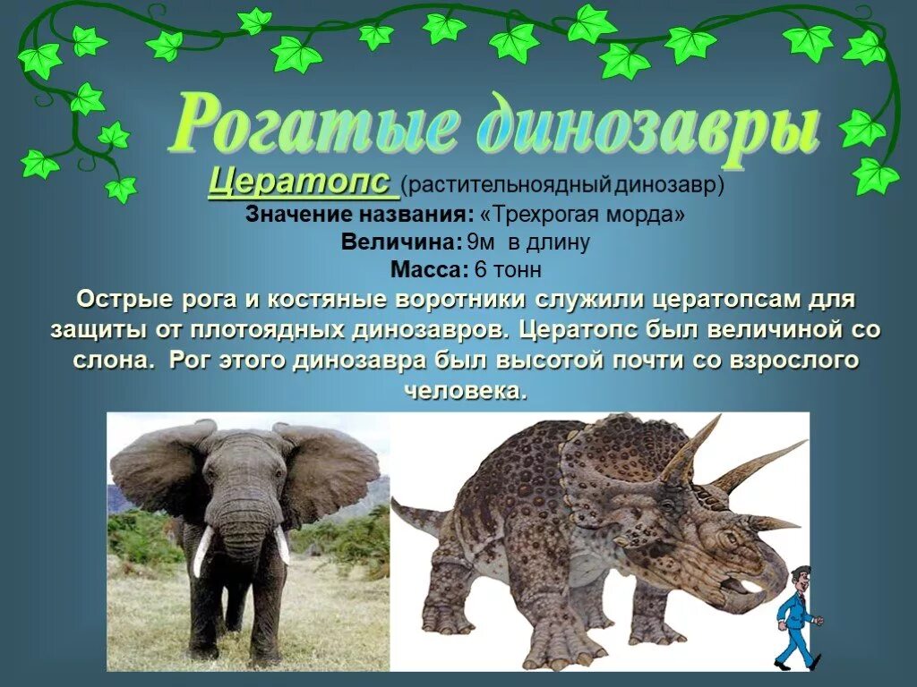 Строго травоядный человек