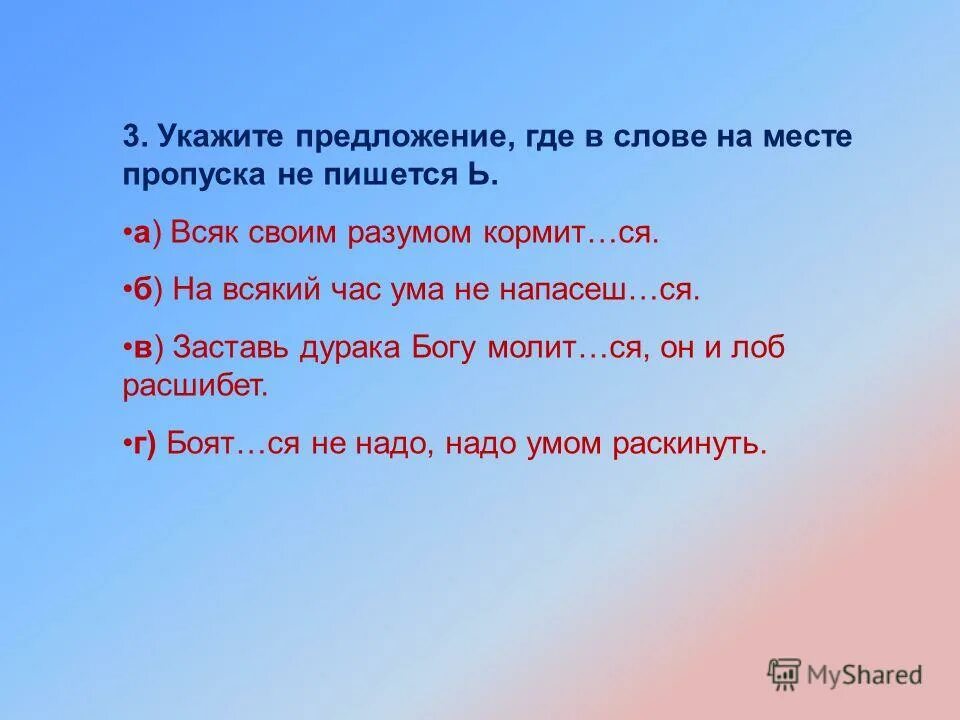 3 предложения где. 2 предложения со словом совесть. Ни свет ни заря где запятые. Главные члены предложения 2 класс. Выпишите предложение в котором.