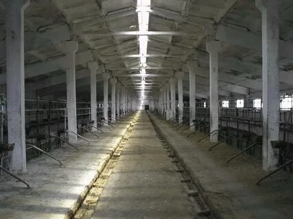Продам бывшую ферму