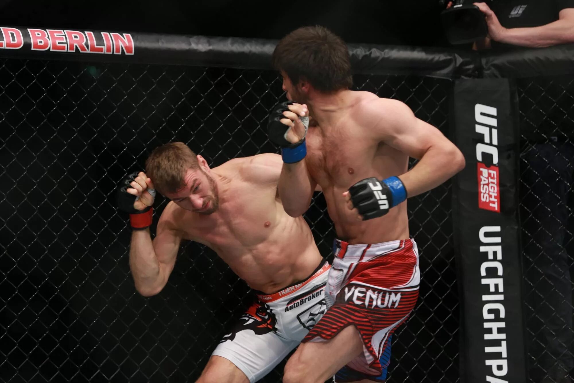 Магомед анкалаев ufc. Потеря против магомедова. Ренат хавалов боец. Бой магомеда магомедова. Абус магомедов.