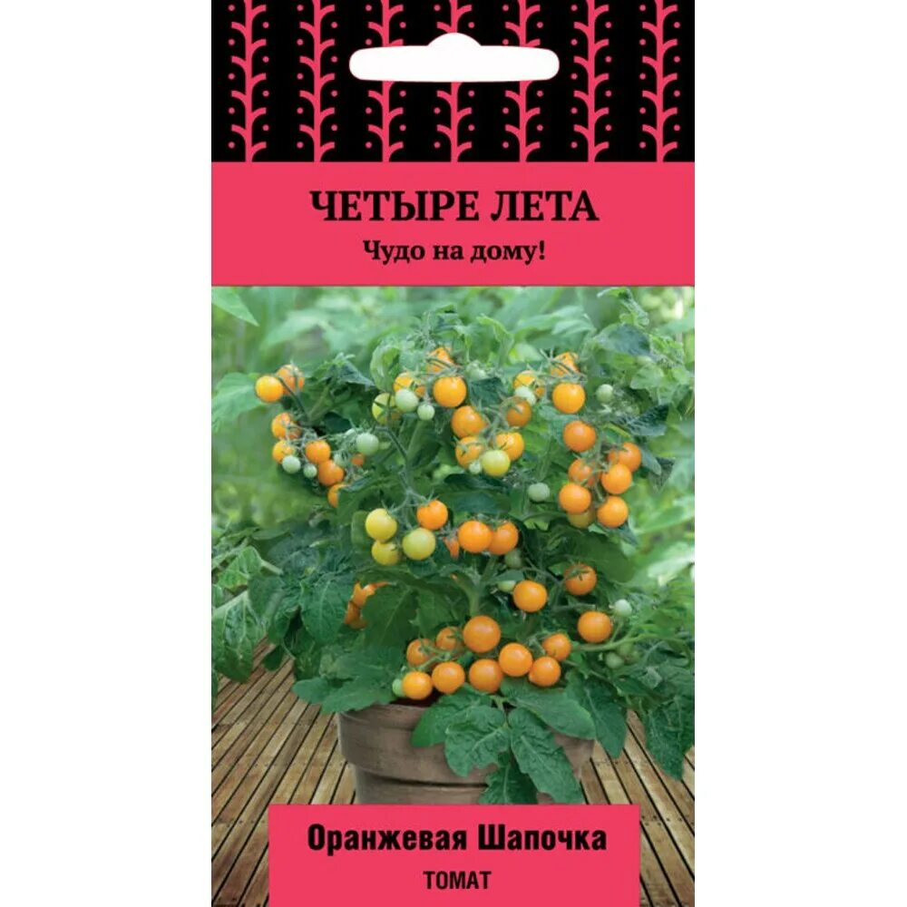 Помидор 4 лета. Томат красная шапочка оранжевая семена. Семена томат оранжевая шапочка. Томат желтая шапочка четыре лета. Семена томат желтая шапочка.