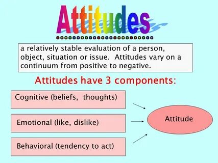 Social attitudes
