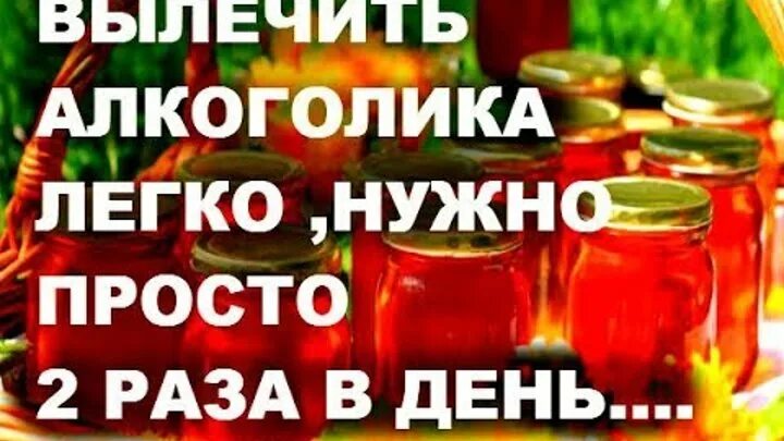 Наролные средства од алкогализма. Как вылечить алкоголика. Народные средства от алкогольной зависимости. Народные средства от алкоголизма. Народные средства от алкоголизма самые.