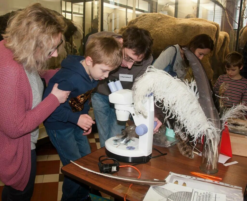 кружки юный натуралист