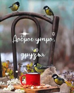 Доброе утро хорошего дня птицы