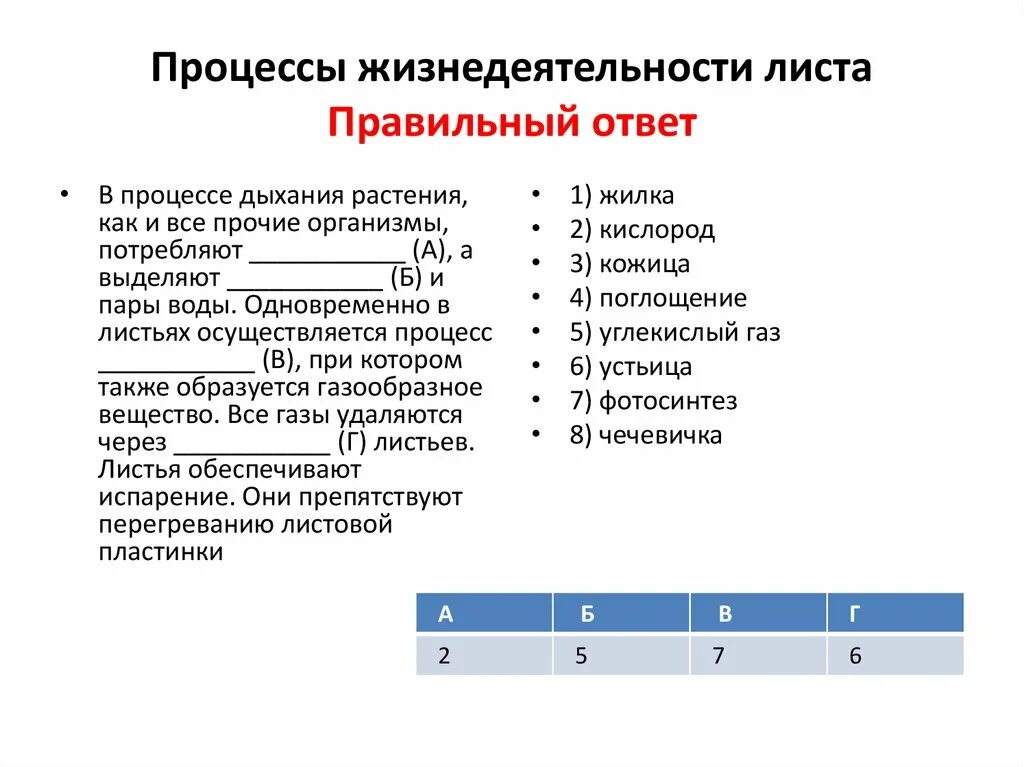 Установите соответствие между операторами и результатами. Процессы жизнедеятельности. Процессы жизнедеятельности дыхание это процесс. Процессы жизнедеятельности листьев. Все процессы жизнедеятельности листа.