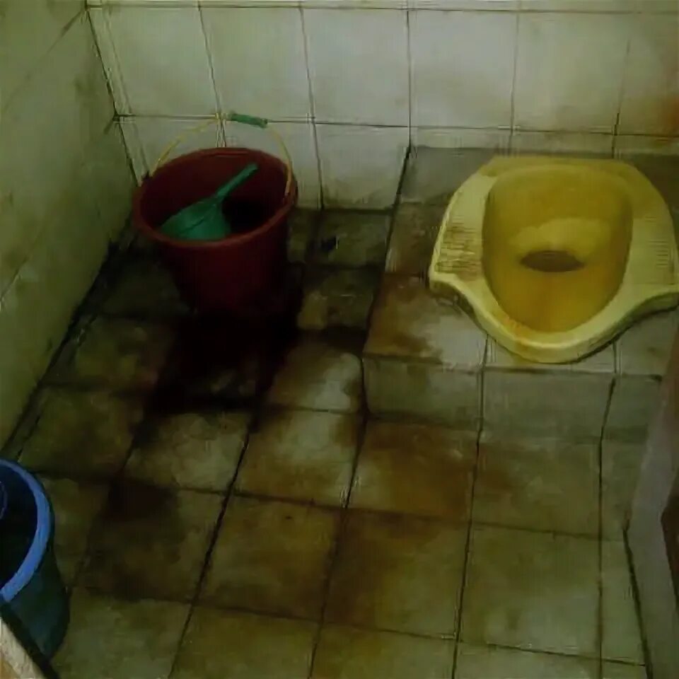Video di toilet. Bolnca hrvatska toilet. Унитаз на острове ферра. Школьный туалет девочек. Video di toilet.