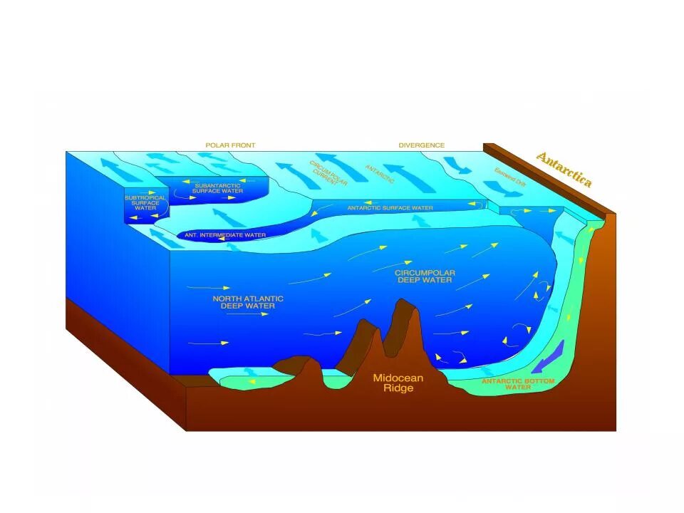 апвеллинг это в геологии. апвеллинг и даунвеллинг. апвеллинг в крыму. зоны апвеллинга в мировом океане. процесс закисления мирового океана.