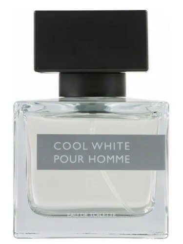 Pour homme White. Extreme Silver pour homme. Пур Пур Вайт духи. Cool Wave pour homme. Homme cool