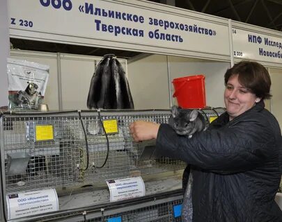 Регистрация тверская область