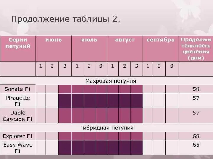 Дни цветения sky. Петуния гибридная таблица. Петуния гибридная время цветения. Петуния сроки цветения. Календарь цветения петуний.