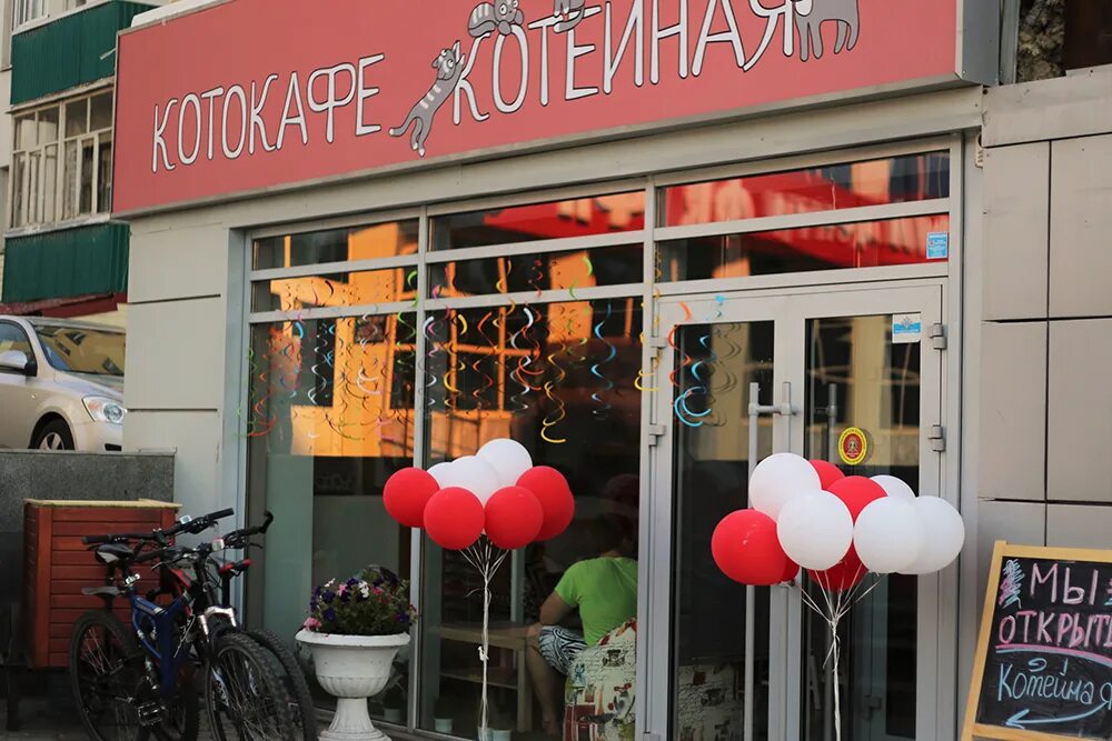 Котокафе новокузнецк