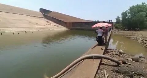 Жители построили дамбу