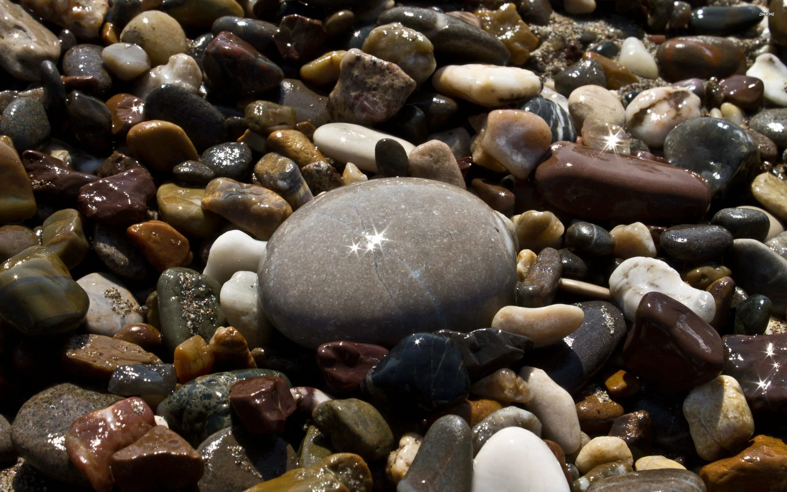 Галька происхождение. Морские камни. Красивые камушки. Красивые морские камни. Речные камни.