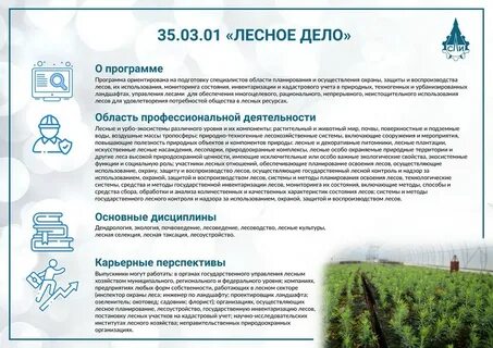 Лесное дело отзывы