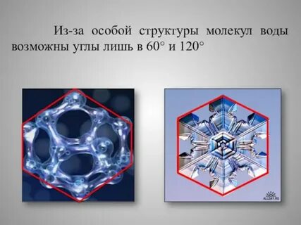 Особый структуры