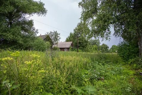 Деревня дуброво