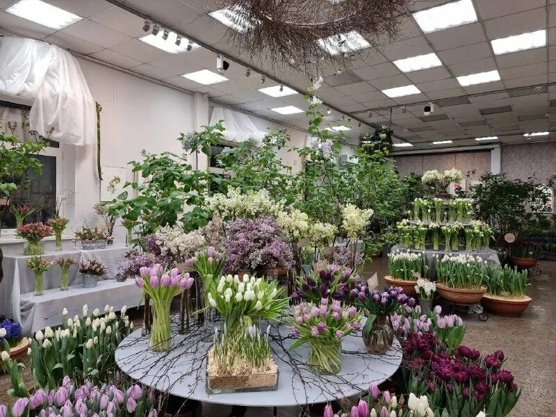 ботанический сад санкт петербург оттепель чувств