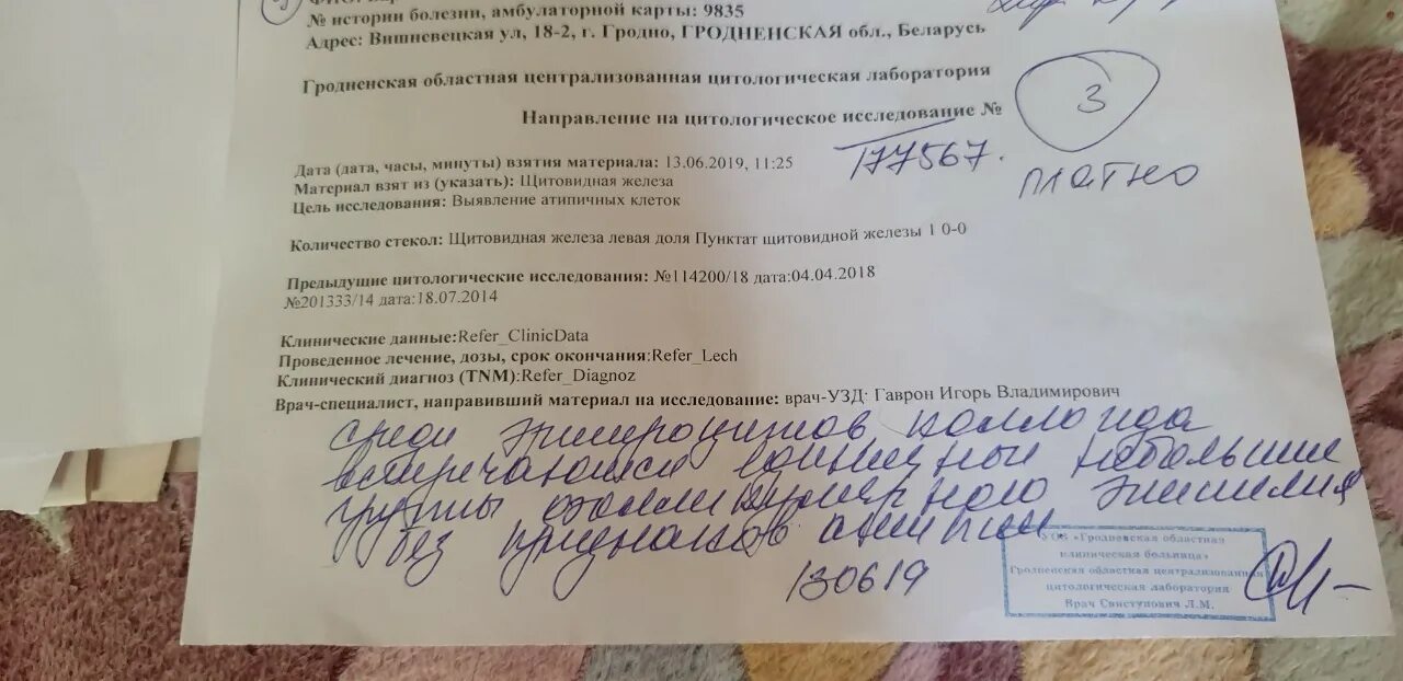 Сколько ждать результаты пункции. Сколько ждать результаты пункции