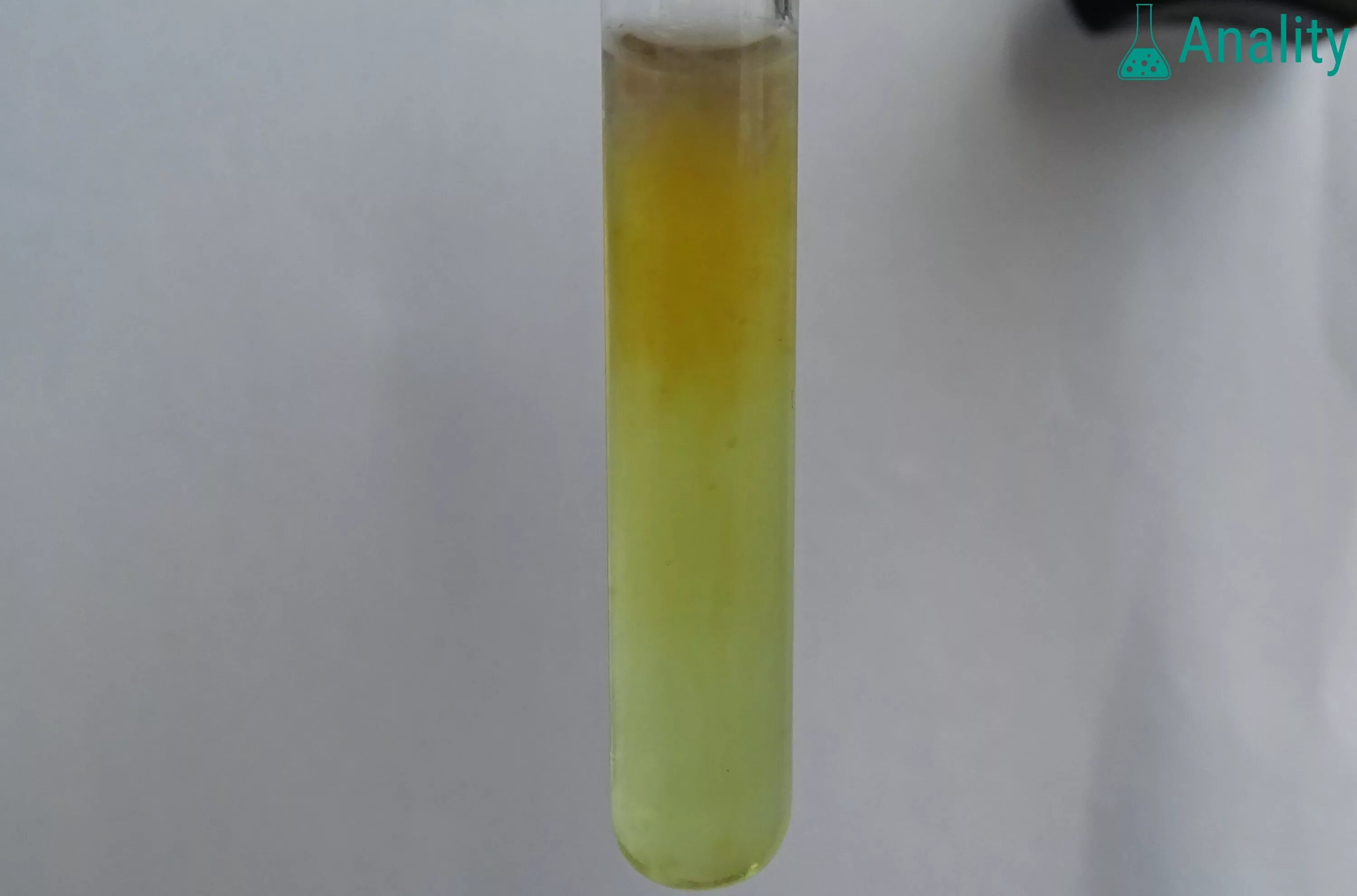 Mno2 цвет раствора. Фторид хрома 3 цвет осадка. Гидроксид меди 2 цвет. Голубой осадок гидроксида меди. Гидроксид марганца 2 цвет.