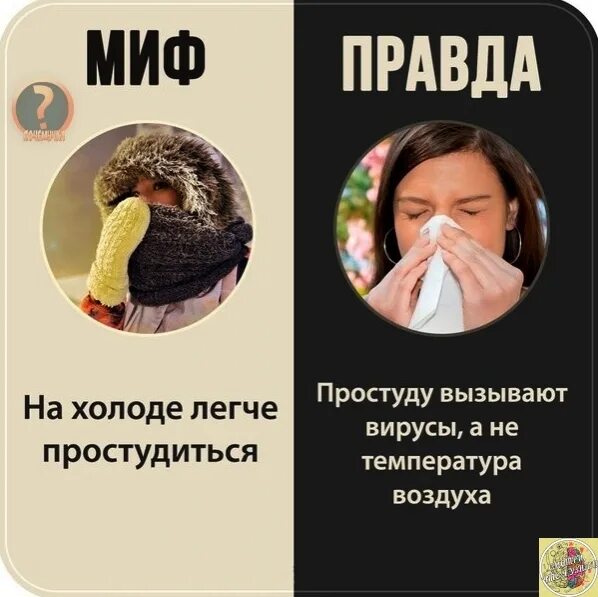 Простуда правда. Миф правда. Мифы о простуде. Мифы и правда про простуду. Правда или миф простуда.