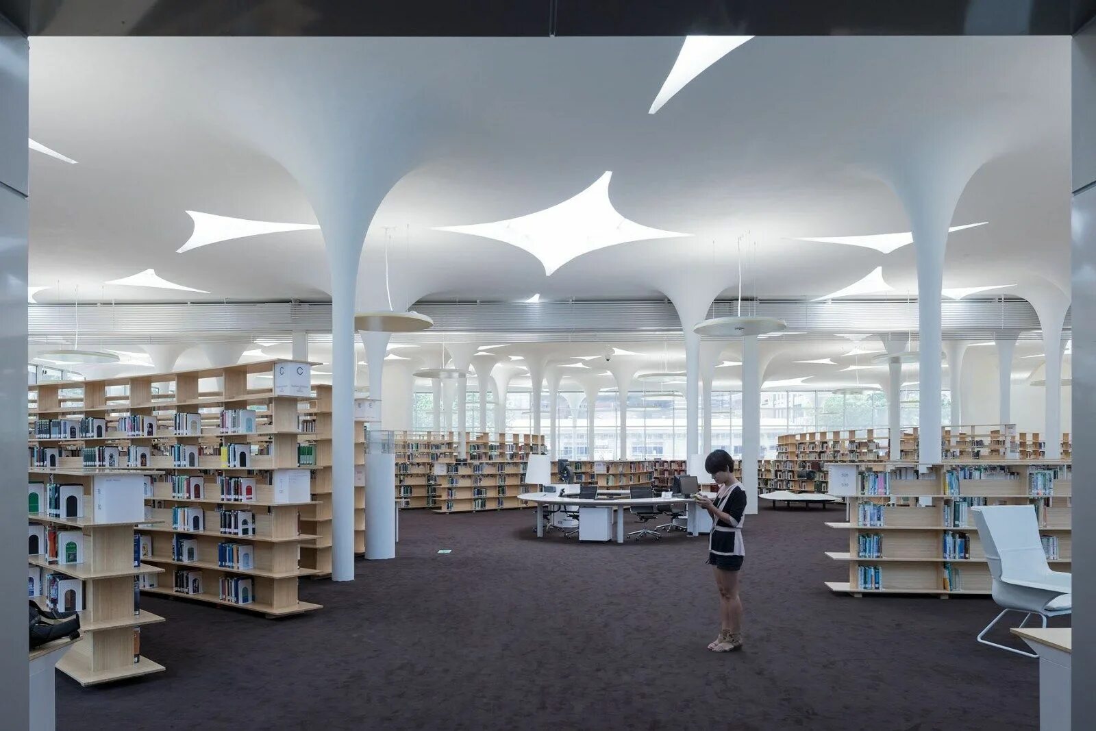 C best libraries. C best libraries