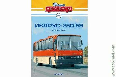 Наши автобусы модимио график насекомые