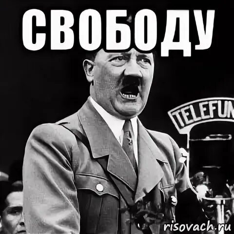 Даю свободу