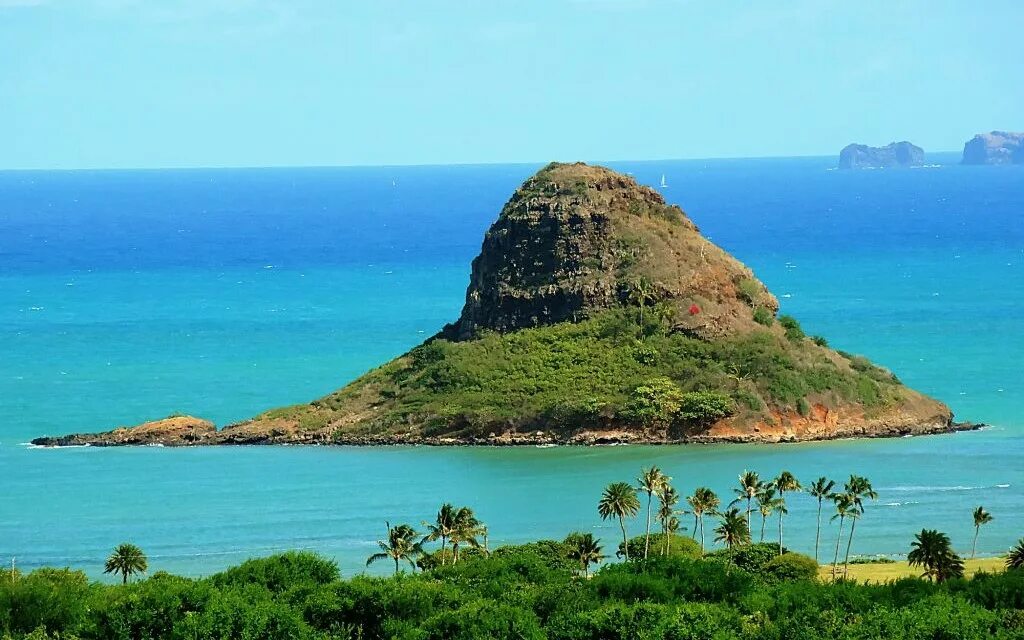 Индонезия остров палау. Архипелаг туамоту. Остров раротонга. Остров раротонга острова кука. Корор республика палау.