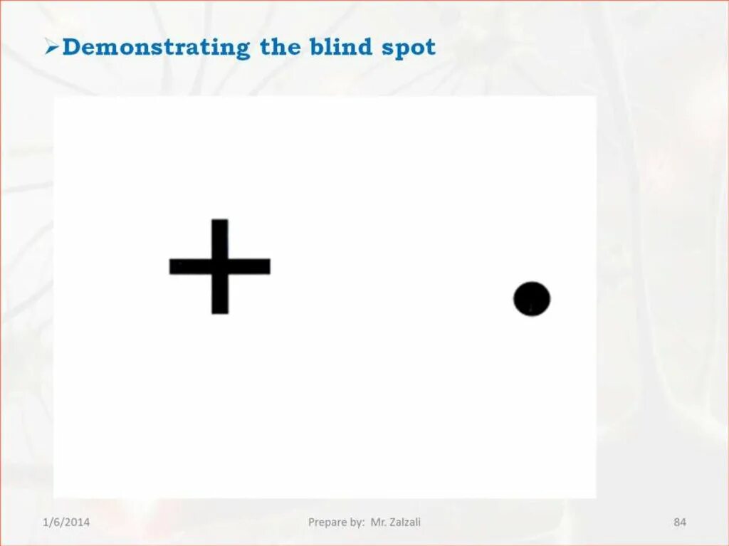 Обнаружение слепого пятна практическая. Слепая зона глаза. Рисунок Мариотта для нахождения слепого пятна. Зона слепого пятна тест. Слепое пятно глаза.