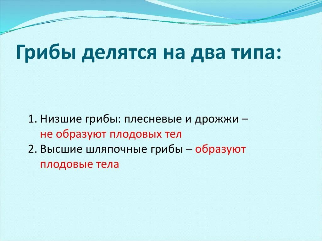 Грибы делятся на. Высшие грибы делятся на. На какие группы делятся грибы. Питание делится на группы