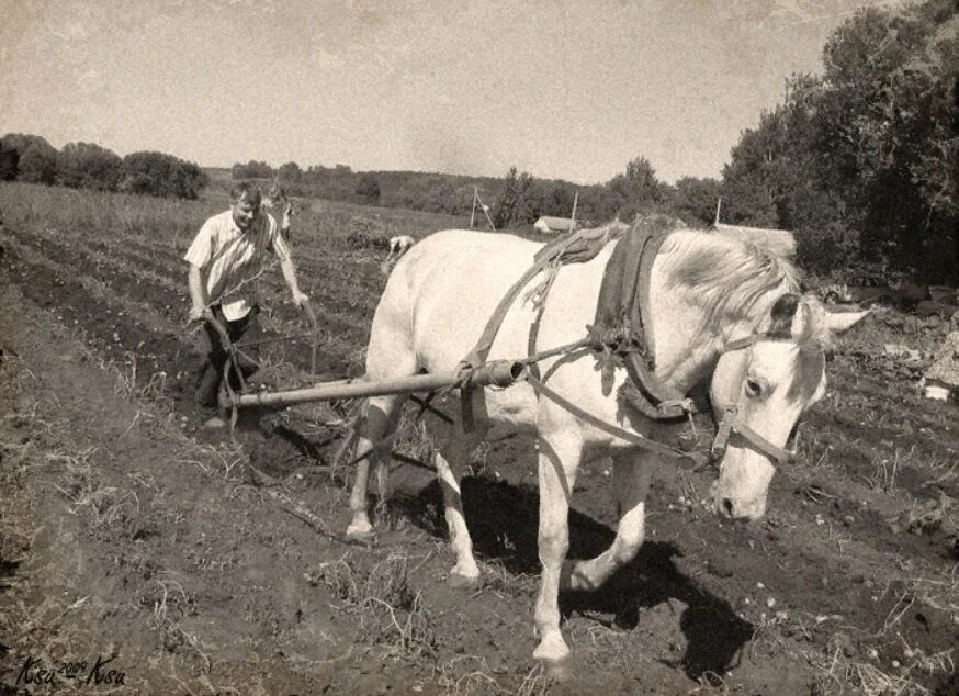 Крестьянин пашет землю 19 век. «Толстой на пашне» (1889. Пахота на лошади. Лошадь в сельском хозяйстве. Тянет плуг в борозду