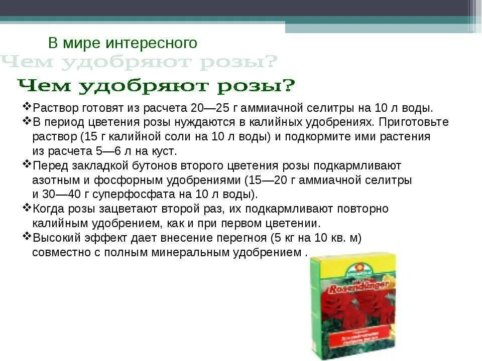 Удобряем кальциевой селитрой. Удобрение раствор. Приготовление раствора удобрения. Аммиачная селитра на 10 литров воды. Как приготовить раствор аммиачной селитры для подкормки.