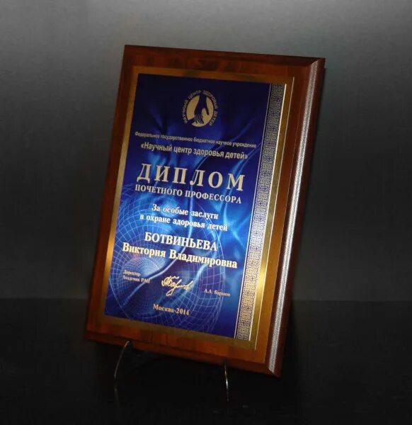 валерий ефимович мисис.