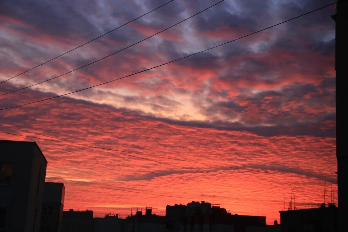 Закат на крыше. Закат над домами. Красивый закат в городе с крыши. Закат в городе с крыши.