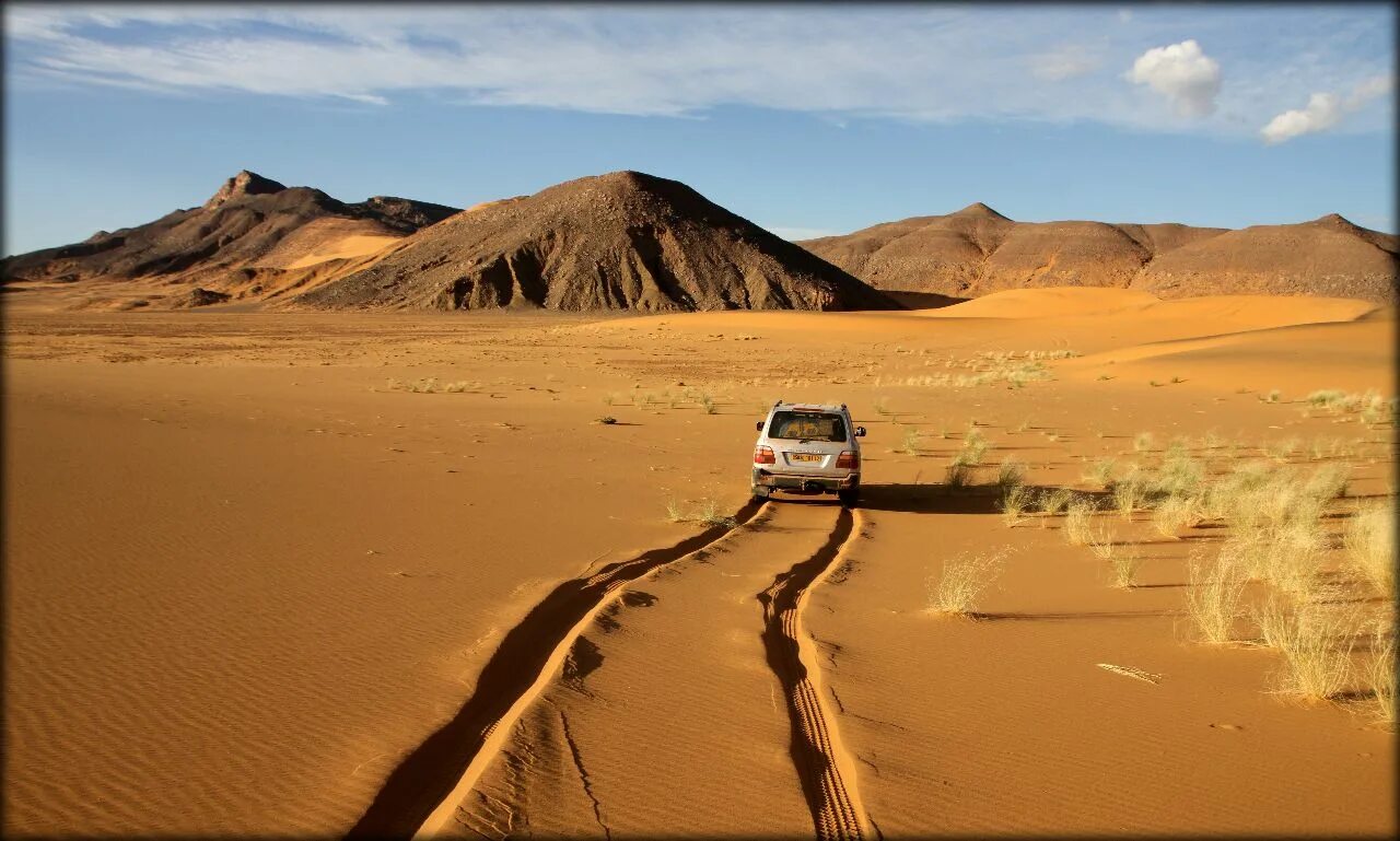 Лига юар по футболу. Алжир ландшафт. Мохаммед яхьяуи алжир. Алжир с высоты птичьего полета. Диуф футболист сенегал.