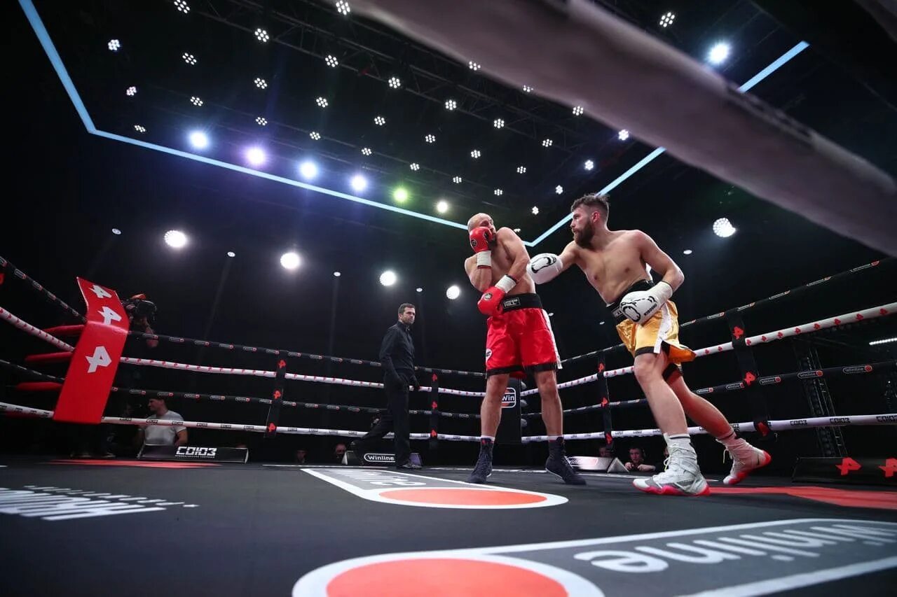 гассиев валлиш. вечер бокса на рен тв сегодня. вечер бокса москва 28 октября 2015. алоян михаил суренович бокс. вечер бокса папин.